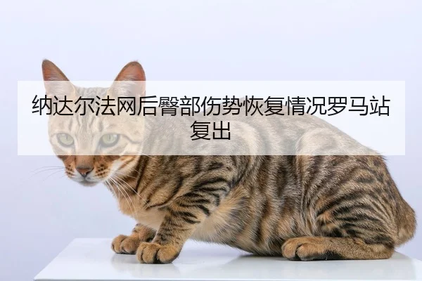 na-da-er-fa-wang-hou-tun-bu-shang-shi-hui-fu-qing-kuang-luo-ma-zhan-fu-chu-2-759.jpg